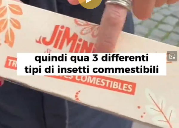 I grilli, il fiocchetto e l’eurodeputata Sardone