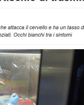 Il virus che attacca il cervello