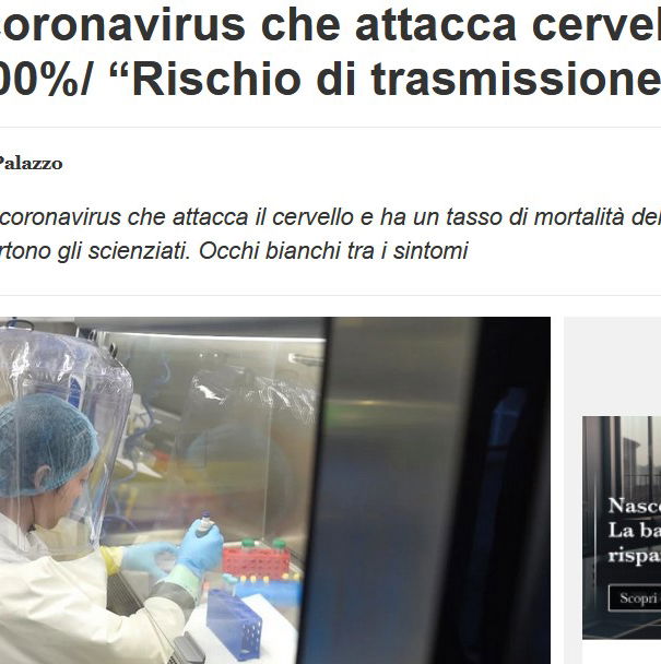 Il virus che attacca il cervello article-post