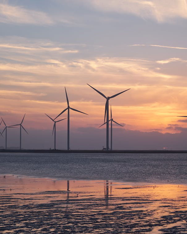 La pala eolica è ecologica? article-post