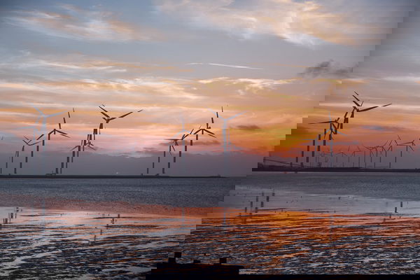 La pala eolica è ecologica?