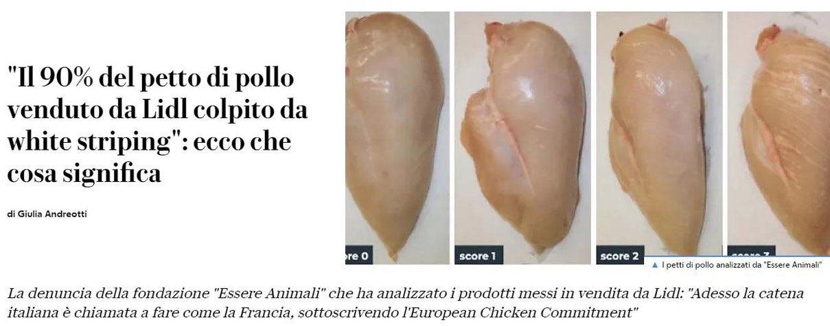 Polli e white striping article-post