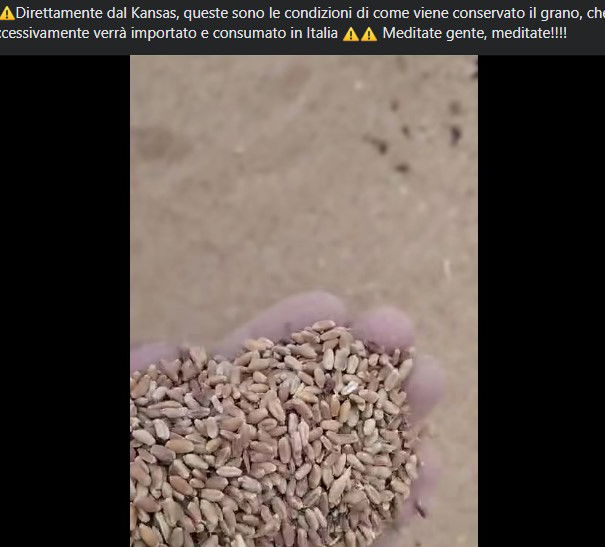 Il grano in Kansas article-post