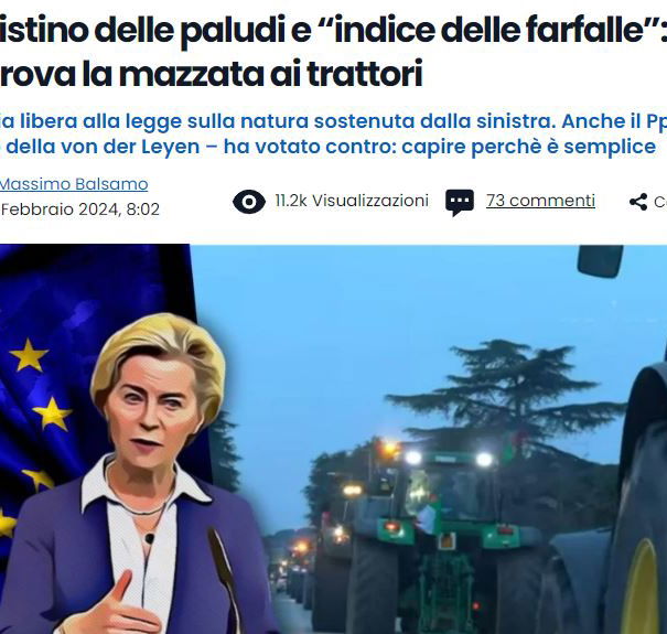 L’indice delle farfalle article-post