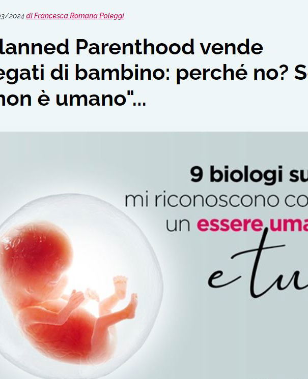 Fegati di bambino? La disinformazione antiabortista article-post