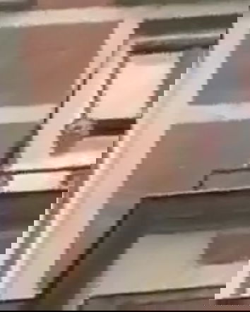 Il Re della Danimarca e il sostegno alla Palestina