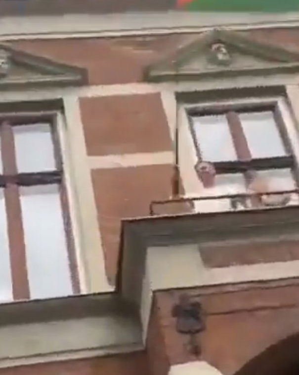 Il Re della Danimarca e il sostegno alla Palestina article-post