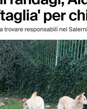 Le taglie di chi non ha fondi…