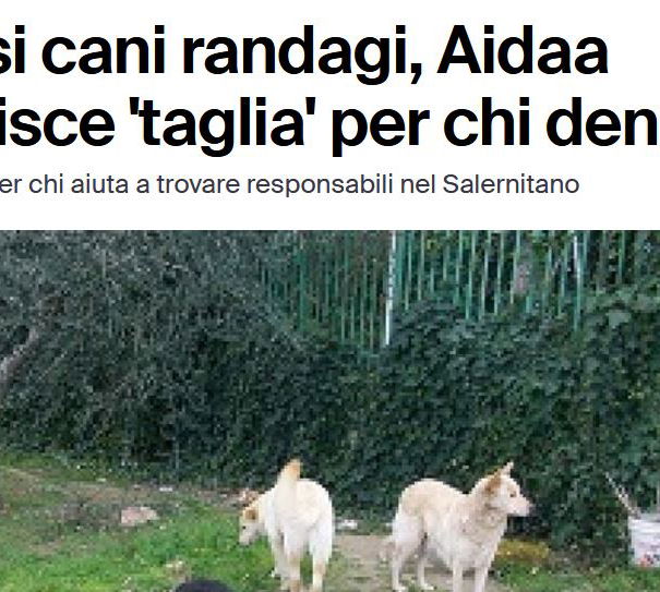 Le taglie di chi non ha fondi… article-post