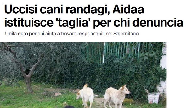 Le taglie di chi non ha fondi…