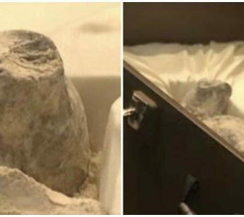 Le mummie extraterrestri, di nuovo