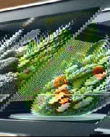 Il microonde pericoloso (ancora?)