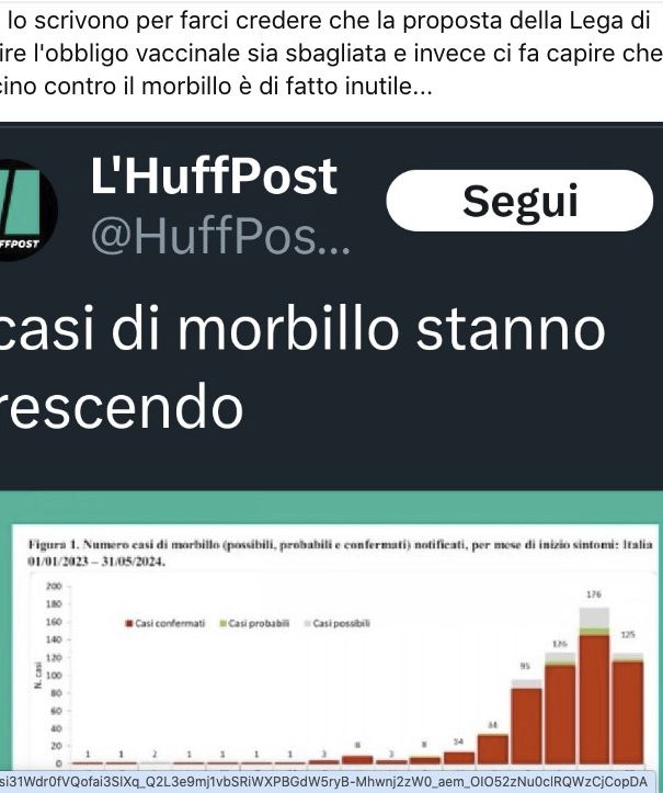 Il complotto del morbillo article-post