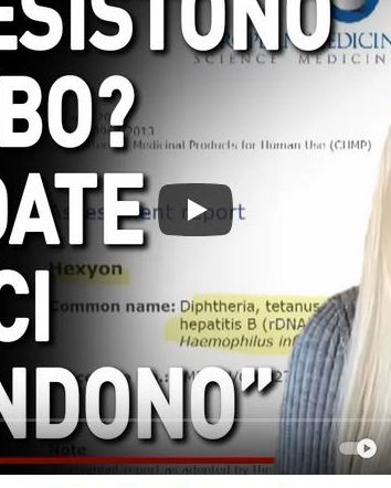 L’esavalente e le polemiche sterili