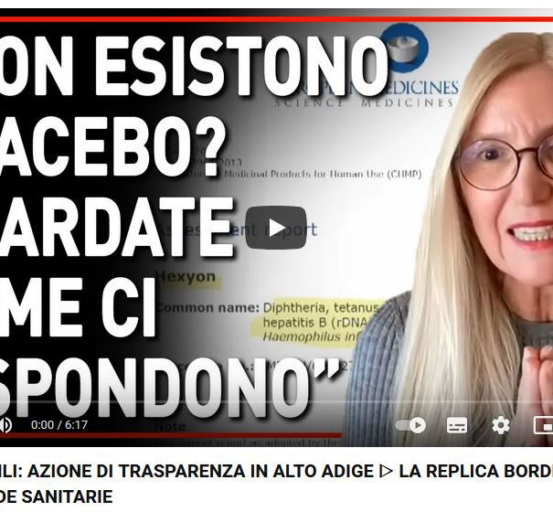 L’esavalente e le polemiche sterili article-post