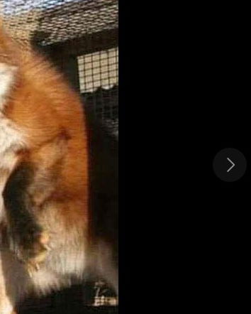 A caccia di like con foto di vent’anni fa