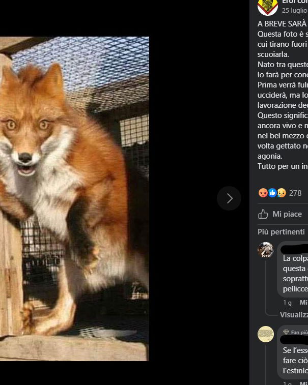 A caccia di like con foto di vent’anni fa article-post