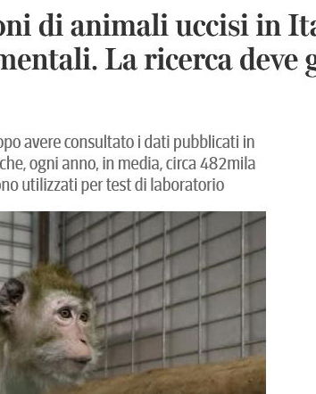La sperimentazione animale un tanto al chilo