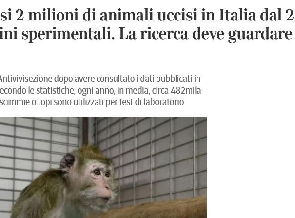 La sperimentazione animale un tanto al chilo article-post