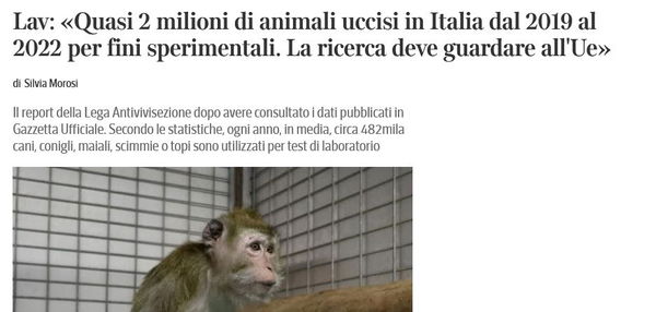La sperimentazione animale un tanto al chilo