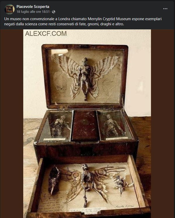 Il museo che espone animali “negati dalla scienza”