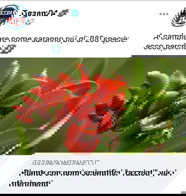 I nomi razzisti alle piante…