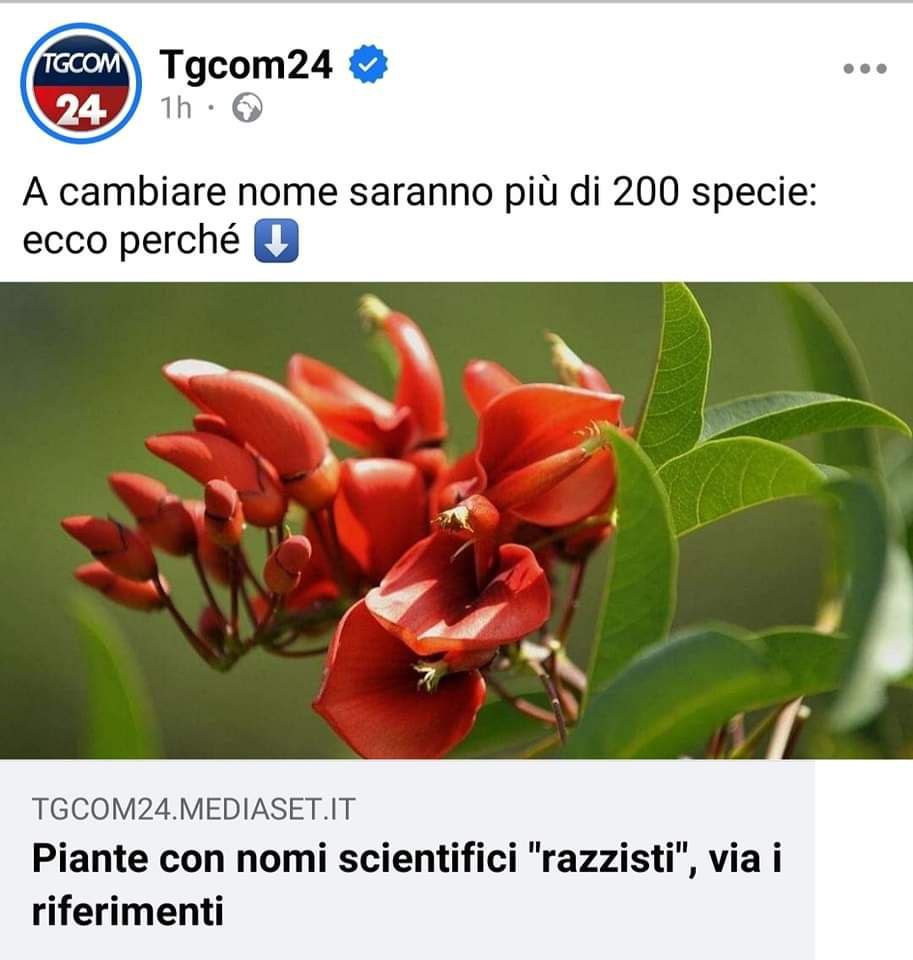I nomi razzisti alle piante… article-post