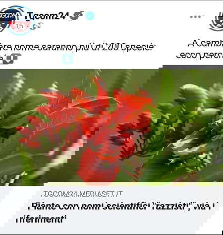 I nomi razzisti alle piante… article-post