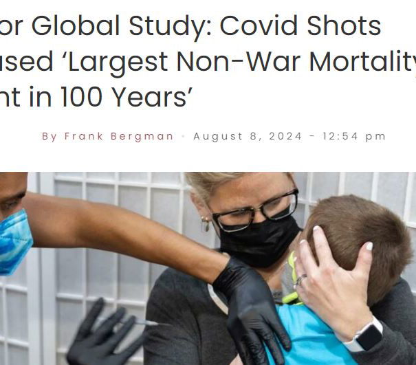 Correlation Canada, Slay News e la disinformazione consapevole article-post