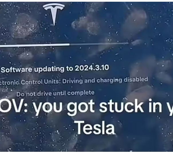 L’aggiornamento della Tesla article-post