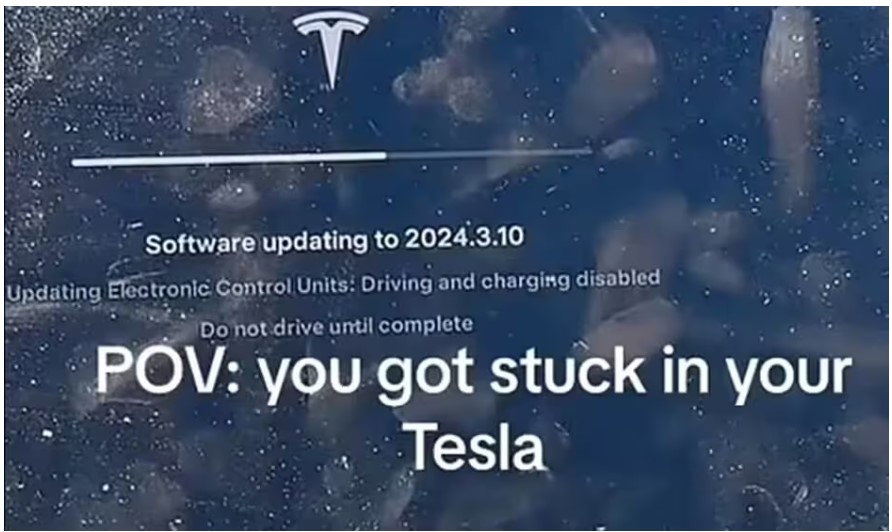 L’aggiornamento della Tesla article-post