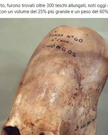 StoriaChePassione e i teschi allungati