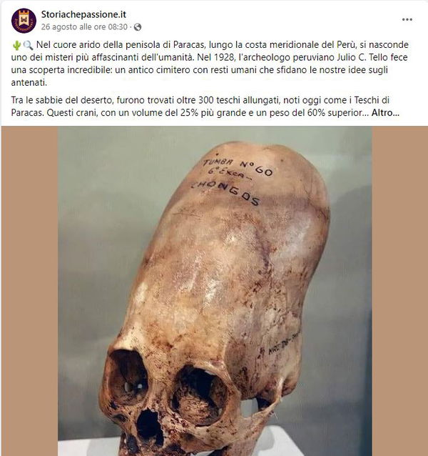 StoriaChePassione e i teschi allungati