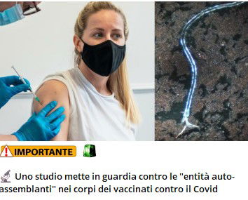 Lo studio bomba sui vaccini…