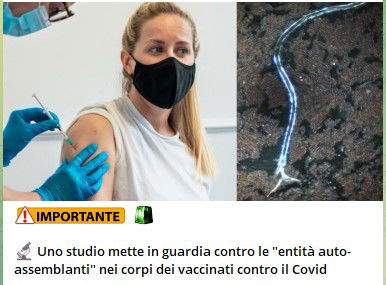 Lo studio bomba sui vaccini… article-post