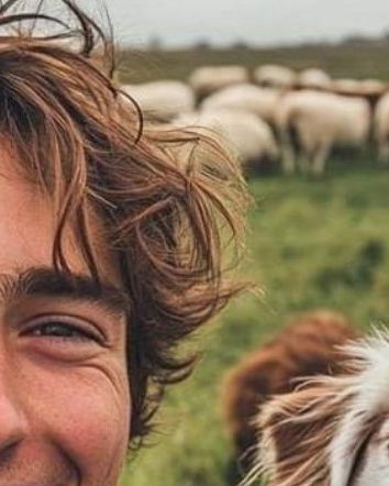 La piaga dell’IA e dei boomer!