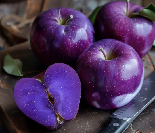 La mela viola del Saskatchewan article-post