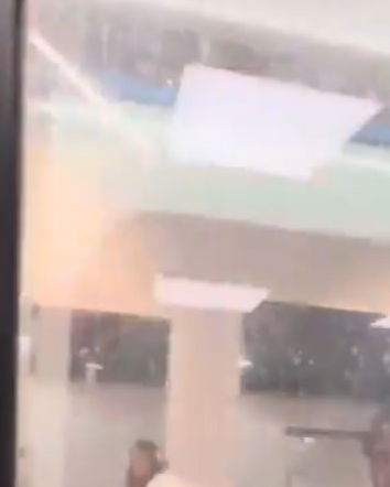 Creatori di contenuti, trollate e analfabetismo digitale