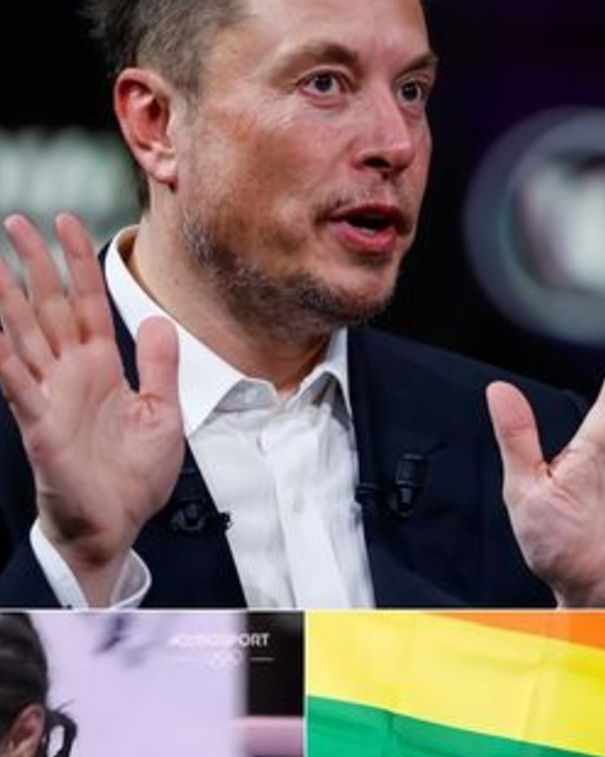 Elon Musk, le aule e le bandiere arcobaleno article-post