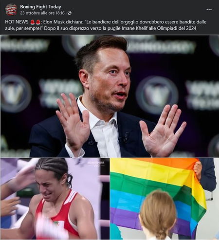 Elon Musk, le aule e le bandiere arcobaleno article-post