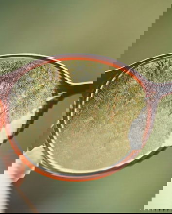 Il metodo Bates e il premio Nobel