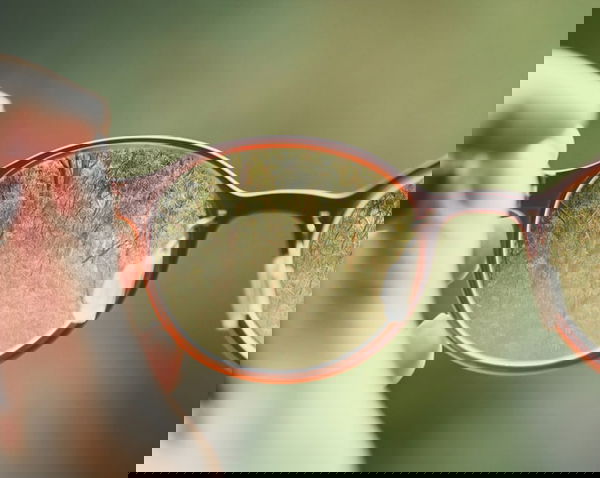 Il metodo Bates e il premio Nobel