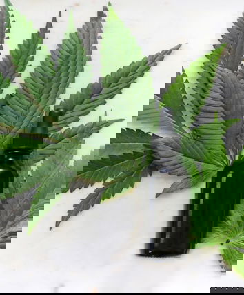 La canapa e le esagerazioni