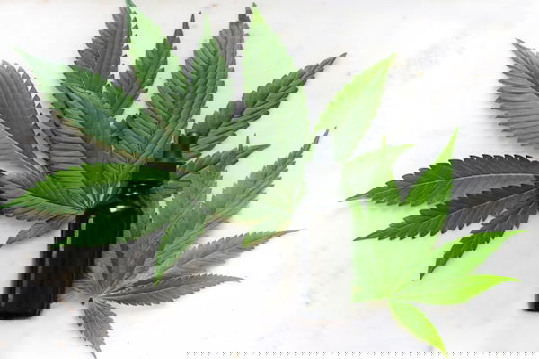 La canapa e le esagerazioni