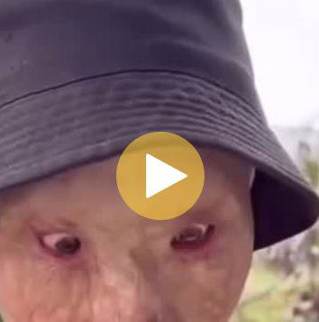 Kim Yosh, l’incendio e la fuffa per attirare like