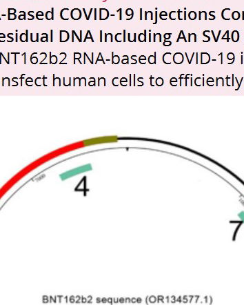 Le ricerche scientifiche e le testate inaffidabili
