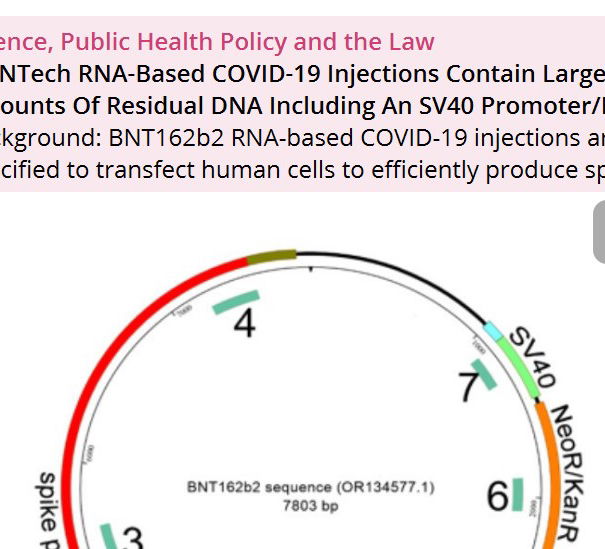 Le ricerche scientifiche e le testate inaffidabili article-post