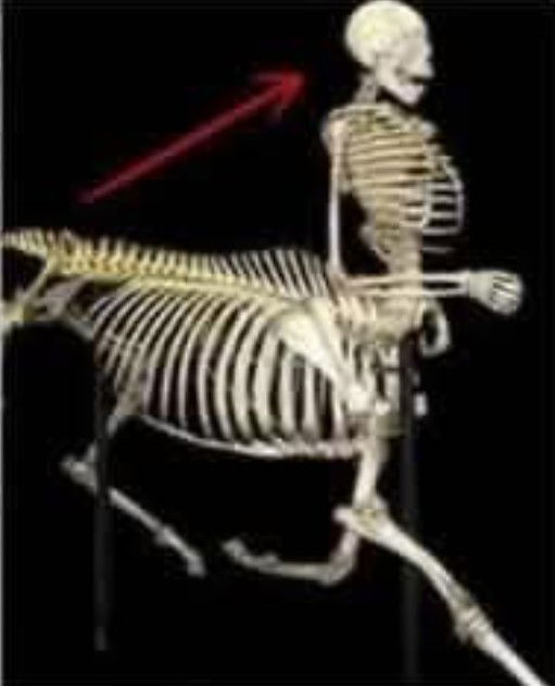 Un uomo chiamato cavallo… article-post