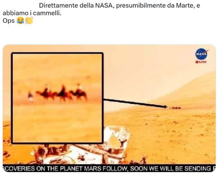 La foto da Marte coi cammelli article-post