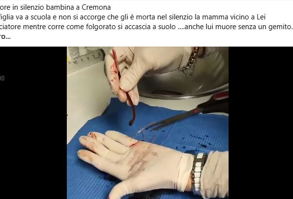 Il Silenzio degli innocenti article-post